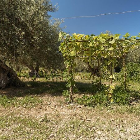 Villa Mendolia Ai Caracoli Termini Imerese Dış mekan fotoğraf