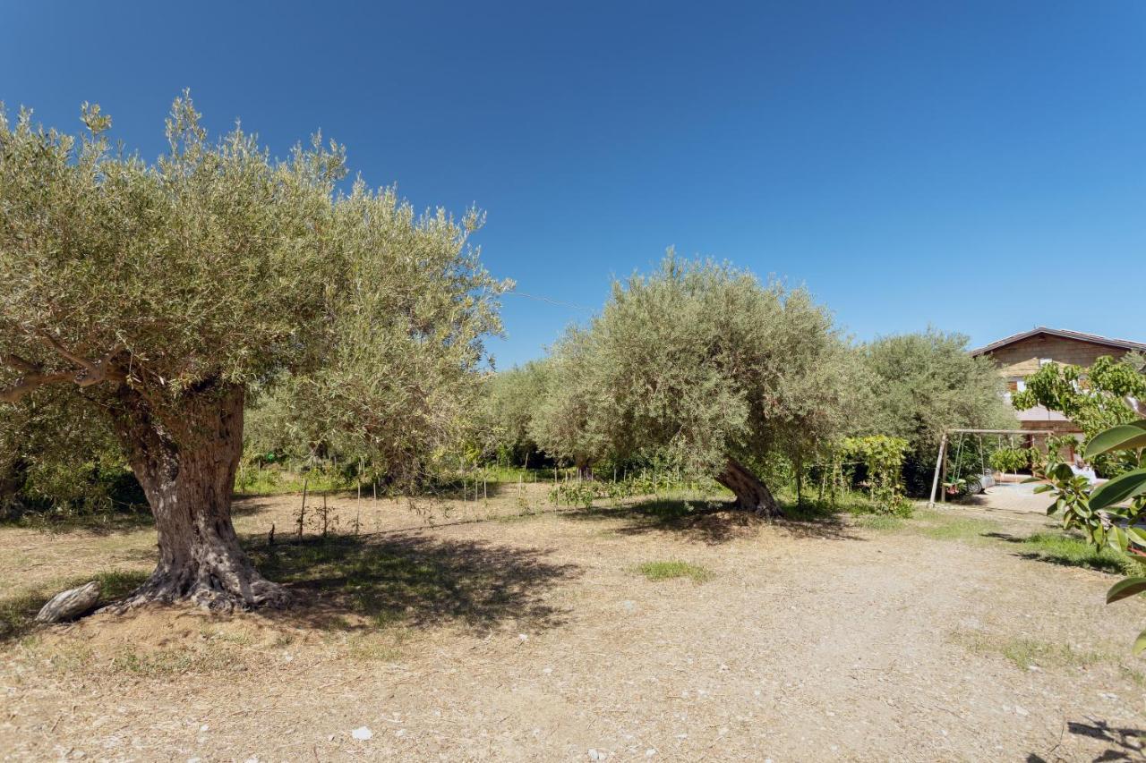 Villa Mendolia Ai Caracoli Termini Imerese Dış mekan fotoğraf